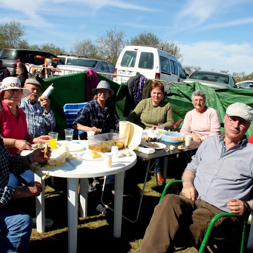 Almendro en flor 2026 (117)